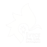 ivtce logo